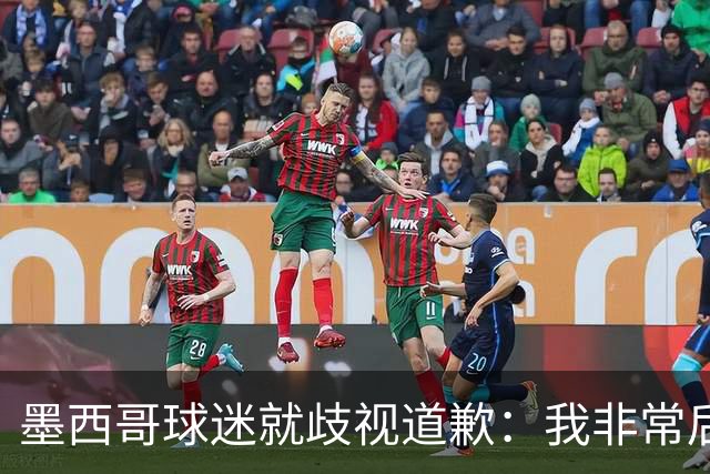 墨西哥球迷就歧视道歉：我非常后悔，已辞去工程师协会职务