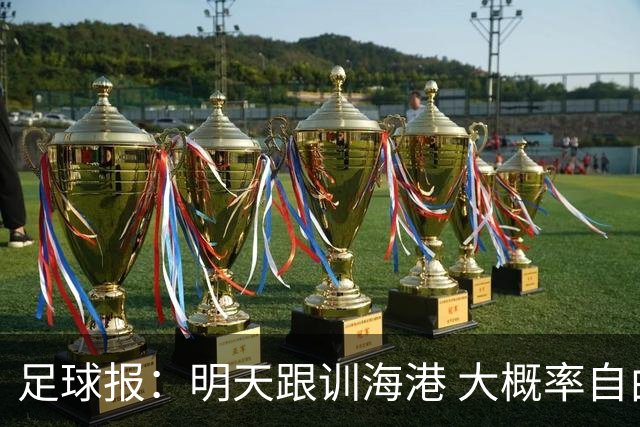 足球报：明天跟训海港 大概率自由身加盟 外援要补强